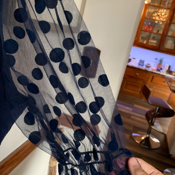 Plus size tulle polka dot sleeve ruffle neck top. Worn twice. - Picture 2 of 5